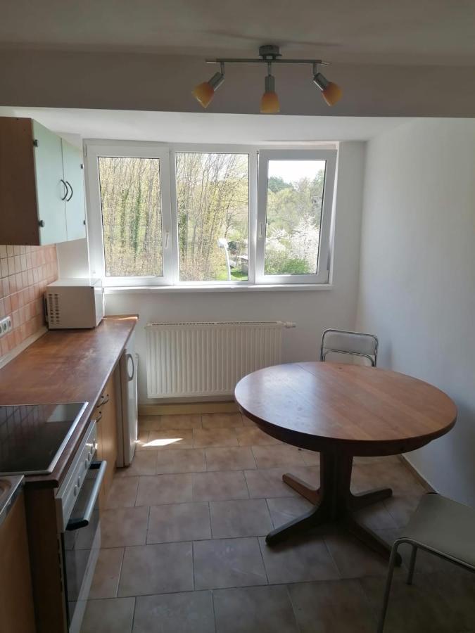 Gaestehaus An Der Warnow Appartement Schwaan Buitenkant foto