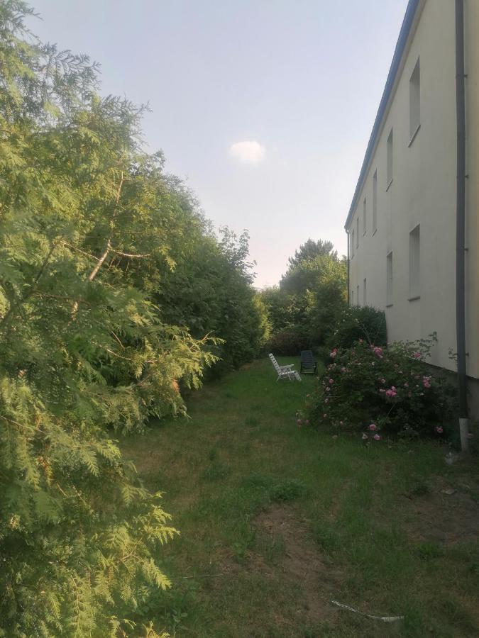 Gaestehaus An Der Warnow Appartement Schwaan Buitenkant foto
